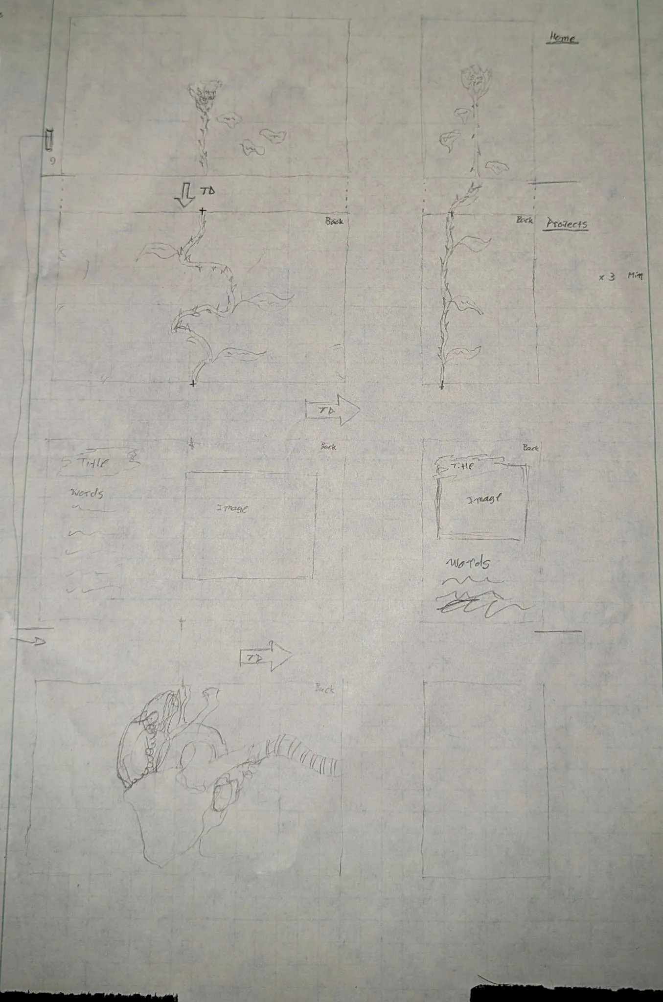 My Plan On Engineering Paper